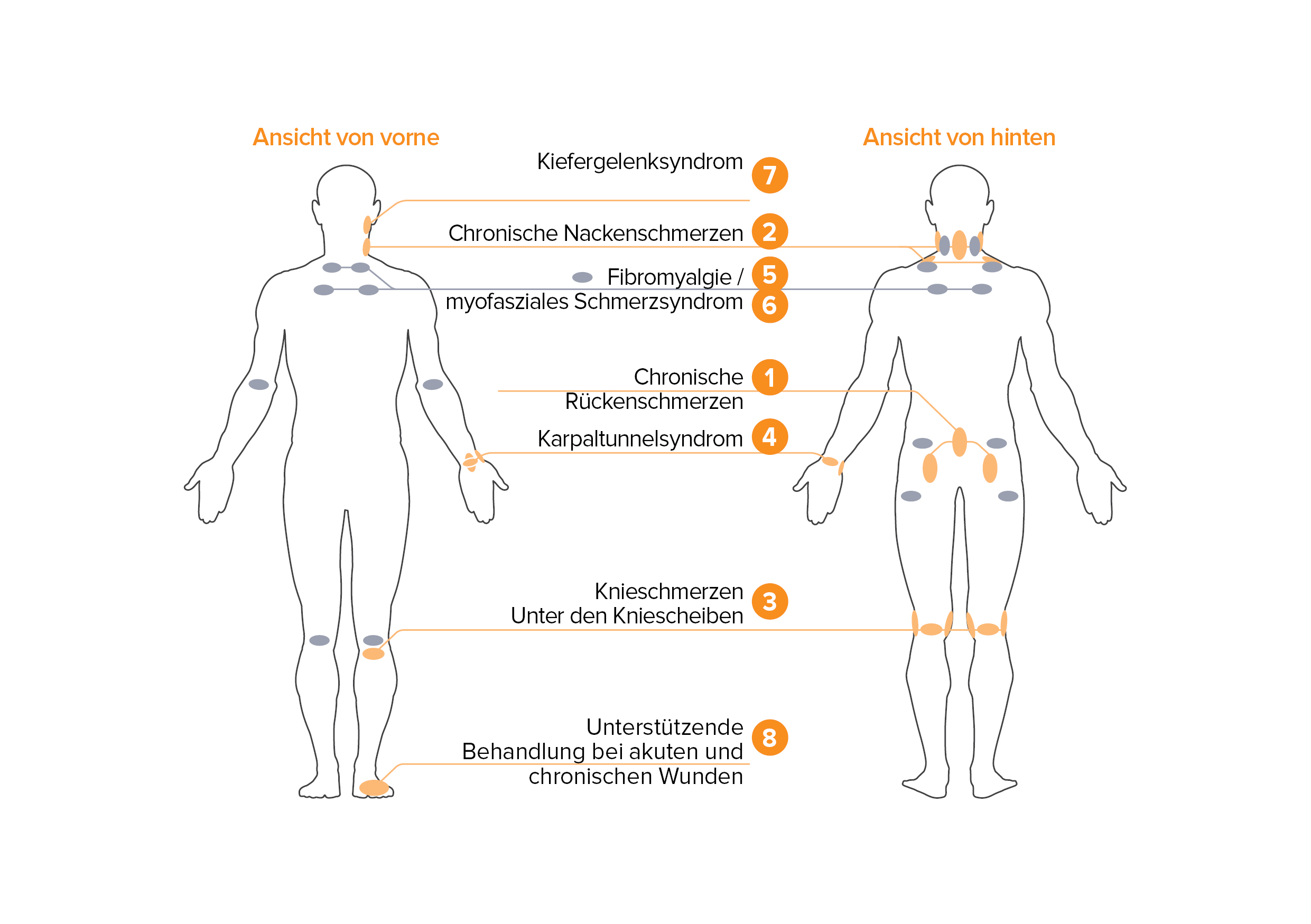 Body Map